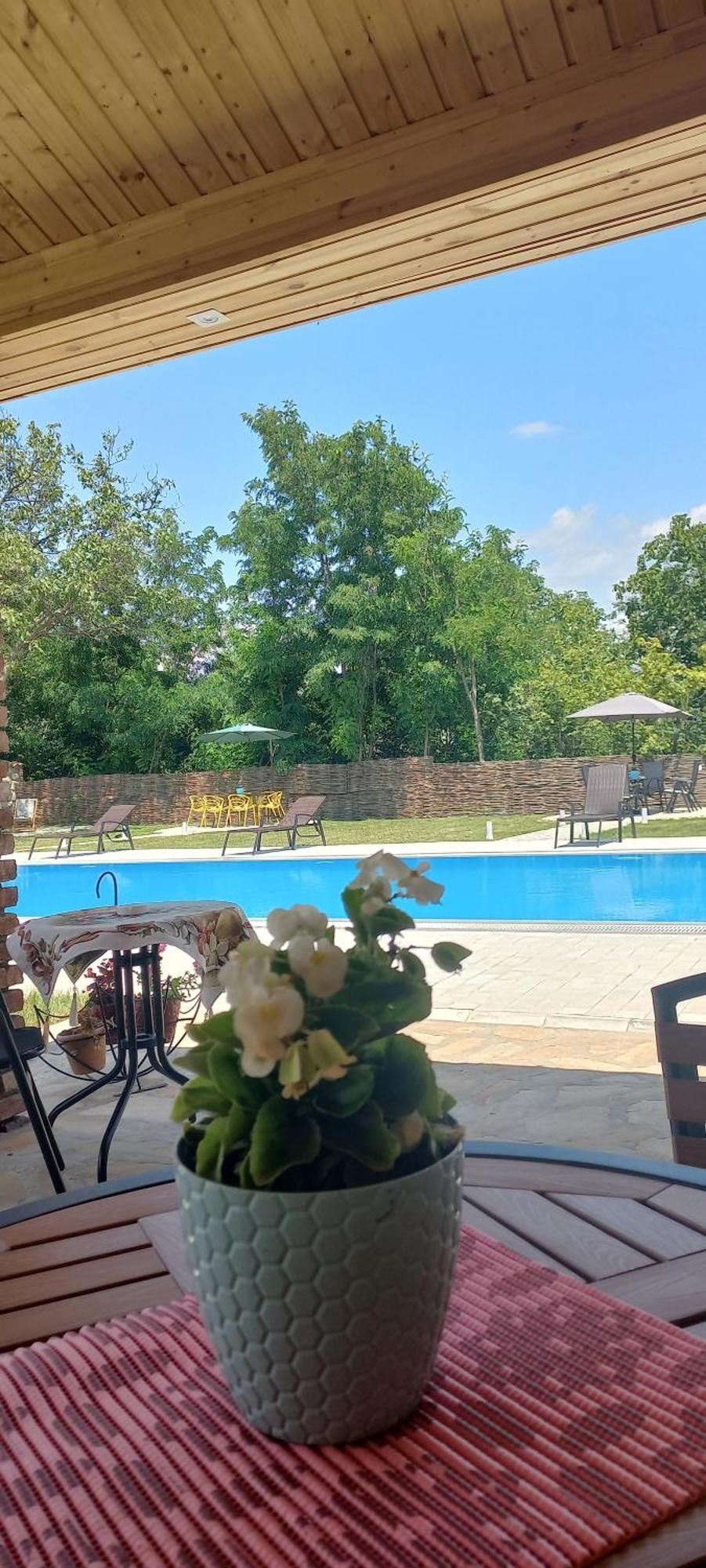 Bekas Wine Cellar Hotel Akhmeta Ngoại thất bức ảnh
